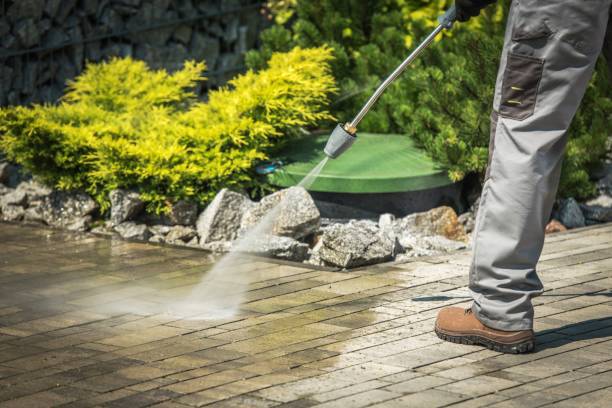 Best Winterizing Services  in Longmont, CO