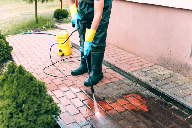 Best Graffiti Removal  in Longmont, CO