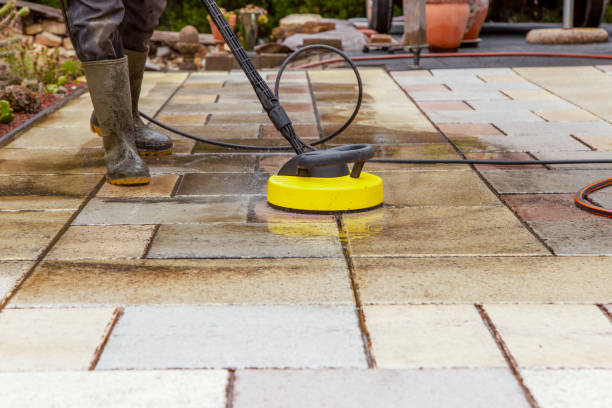 Best Fence Cleaning  in Longmont, CO